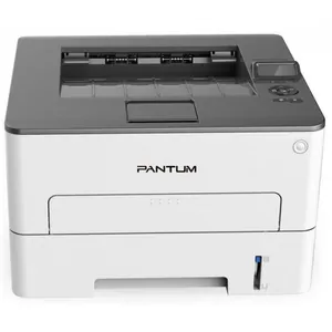 Замена прокладки на принтере Pantum P3300DN в Челябинске